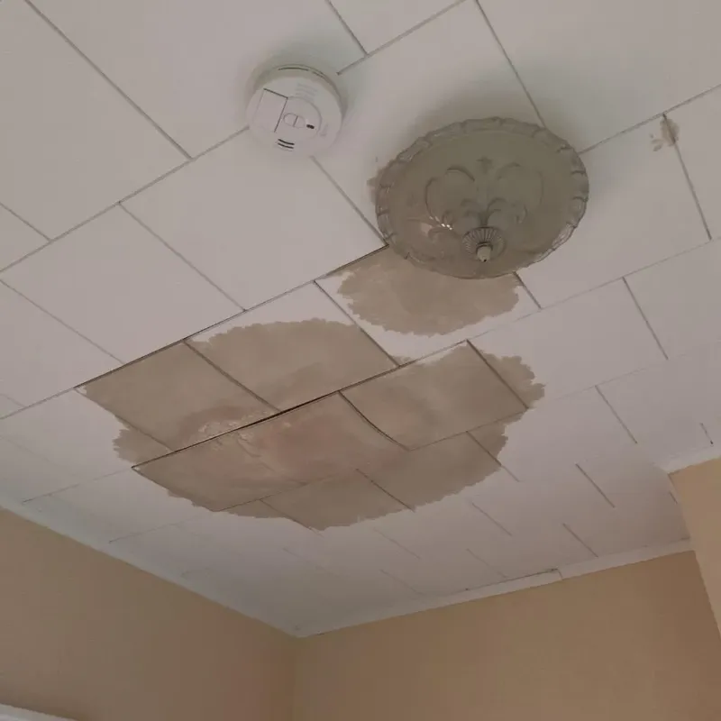 Ceiling Water Damage Repair in Union Grove, WI