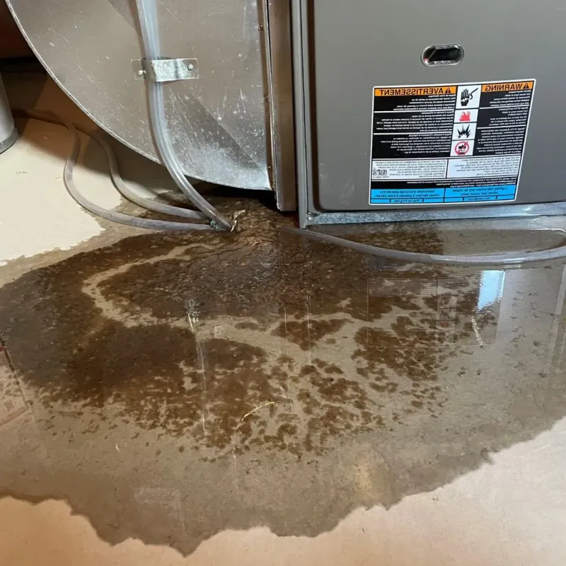 Pipe Burst and Leak Restoration in Union Grove, WI